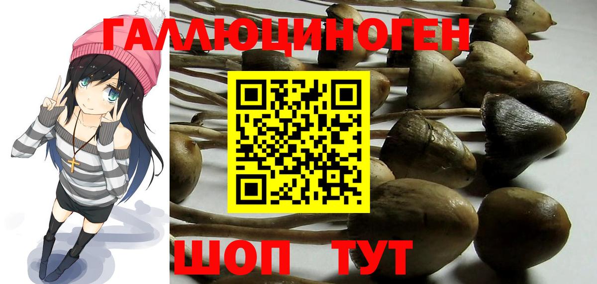 Галлюциногенные грибы Psilocybine cubensis  Галлюциногенные грибы ЛСД  Малгобек 