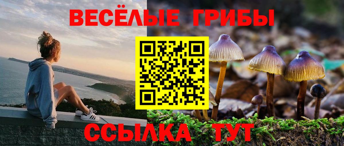 Галлюциногенные грибы мухоморы Малгобек