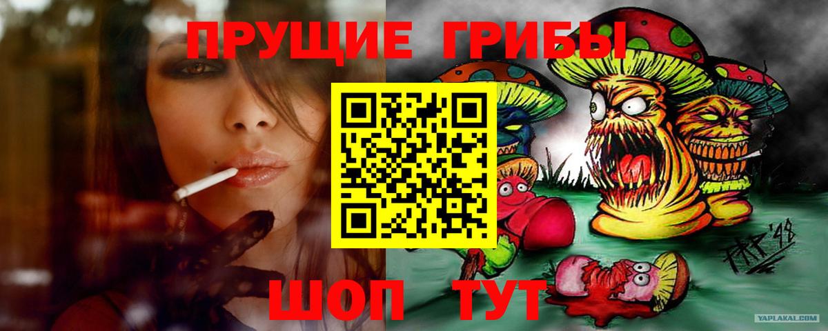 Галлюциногенные грибы GOLDEN TEACHER  Вход с VPN  Малгобек 
